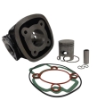 Immagine 0 di Kit Gruppo Termico Teknoetre Piaggio LC
