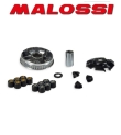 Variatore Malossi per Beta, Kymco, Sym, Malaguti