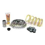Variatore Malossi Scooter Suzuki 400 i € 2-3