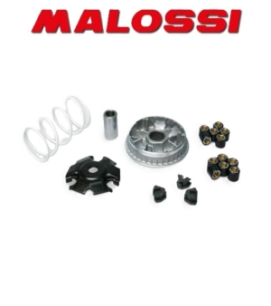 Variatore Malossi Scooter Vespa, Piaggio, Aprilia, Italjet 1